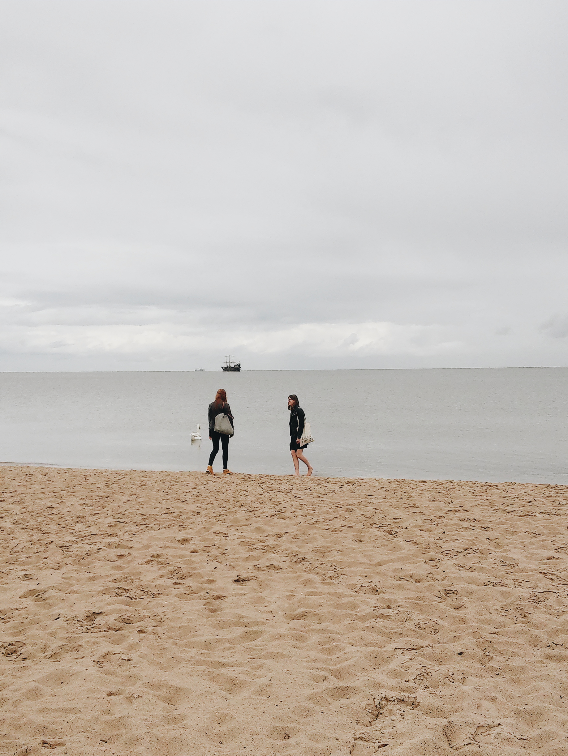 Processed with VSCOcam with a6 preset