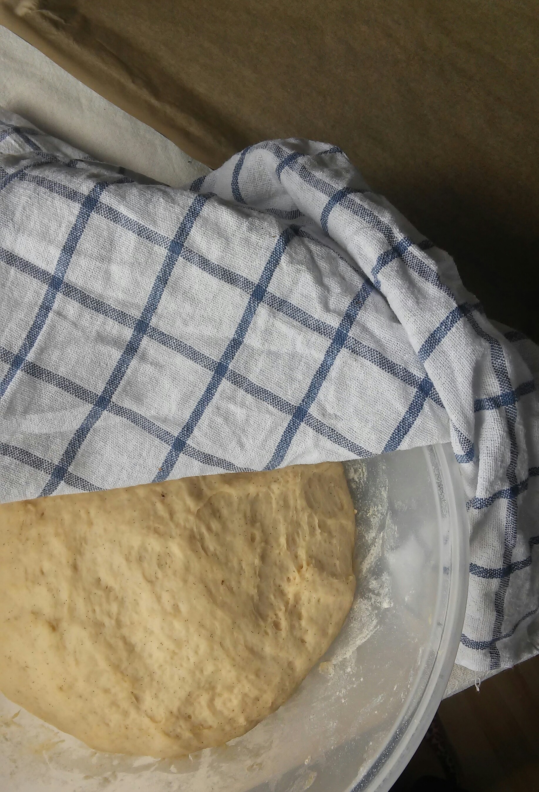 20150625_120142_HDR-1