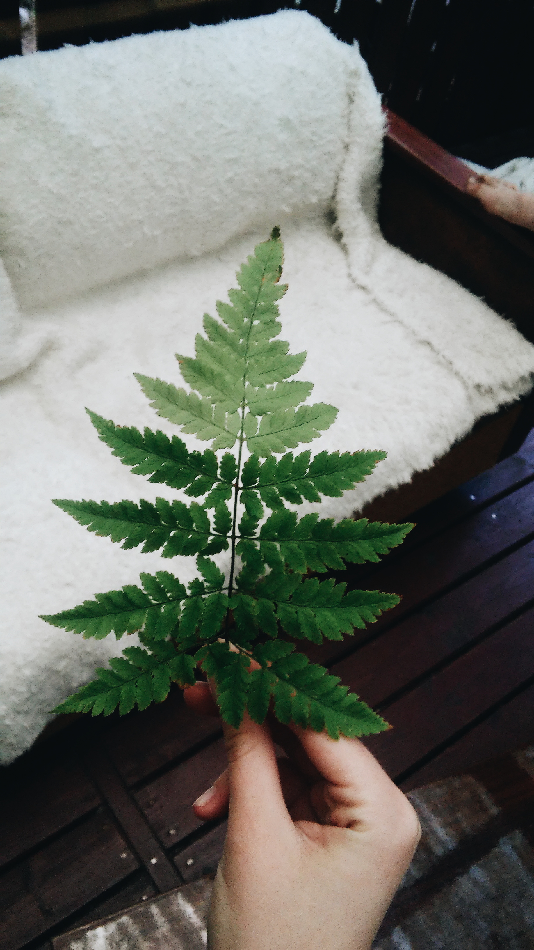 Processed with VSCOcam with a6 preset