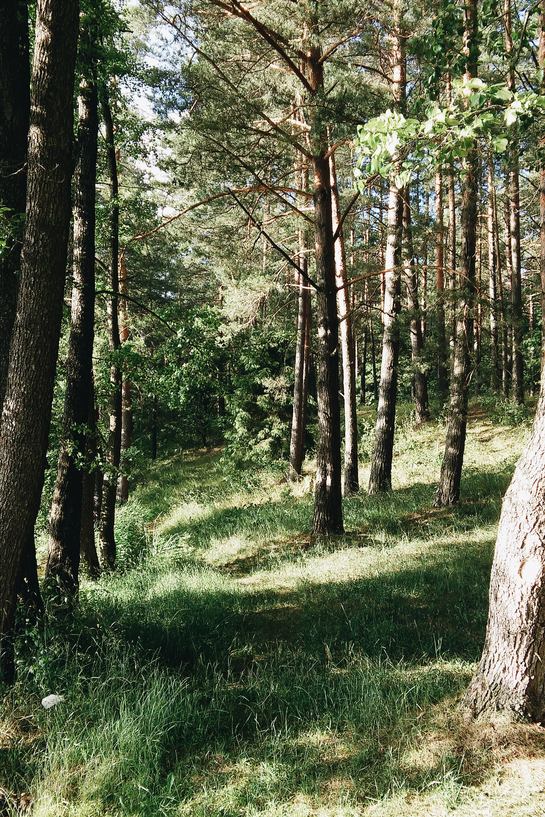 Processed with VSCOcam with a6 preset