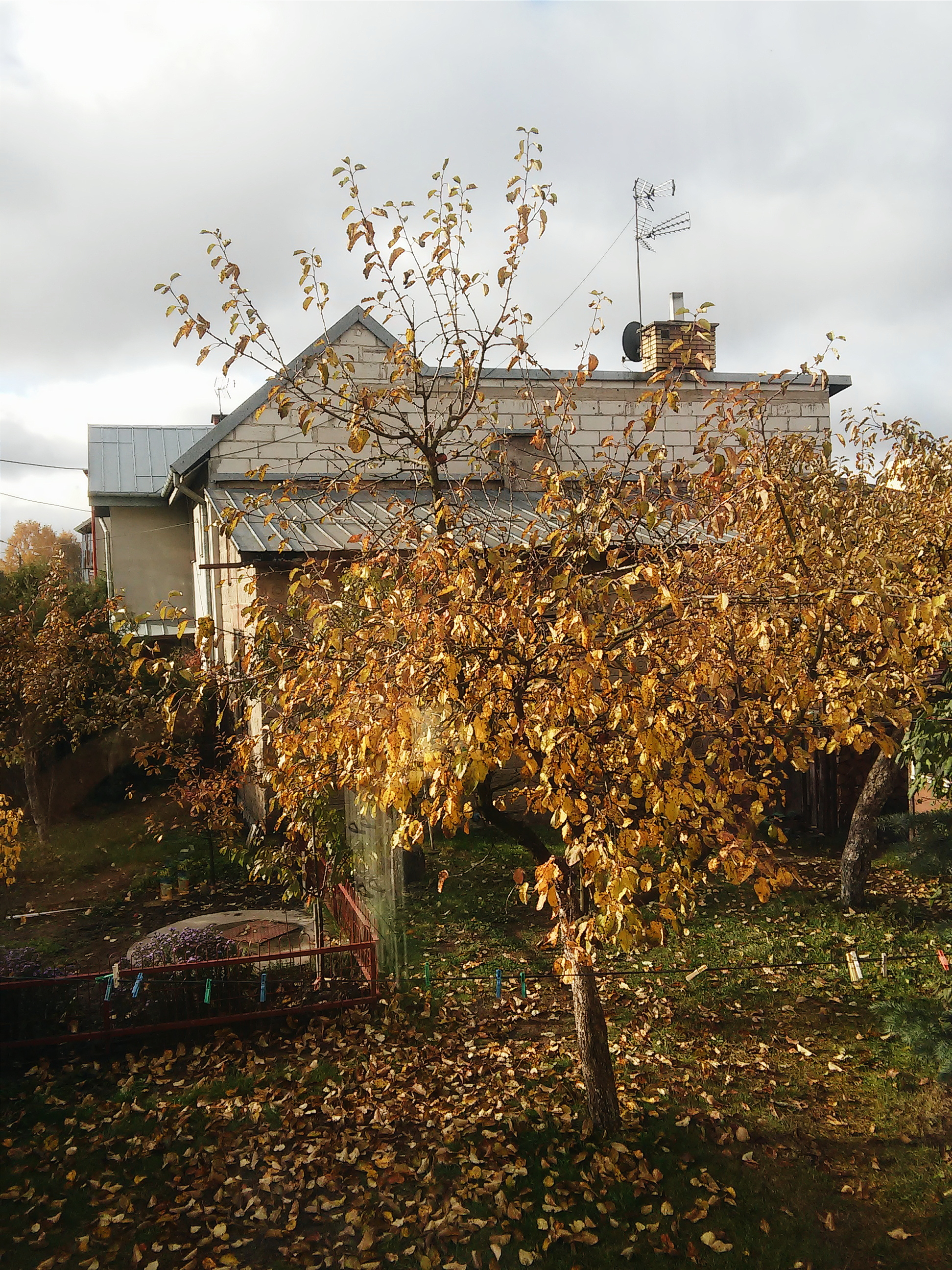 Processed with VSCO with a6 preset